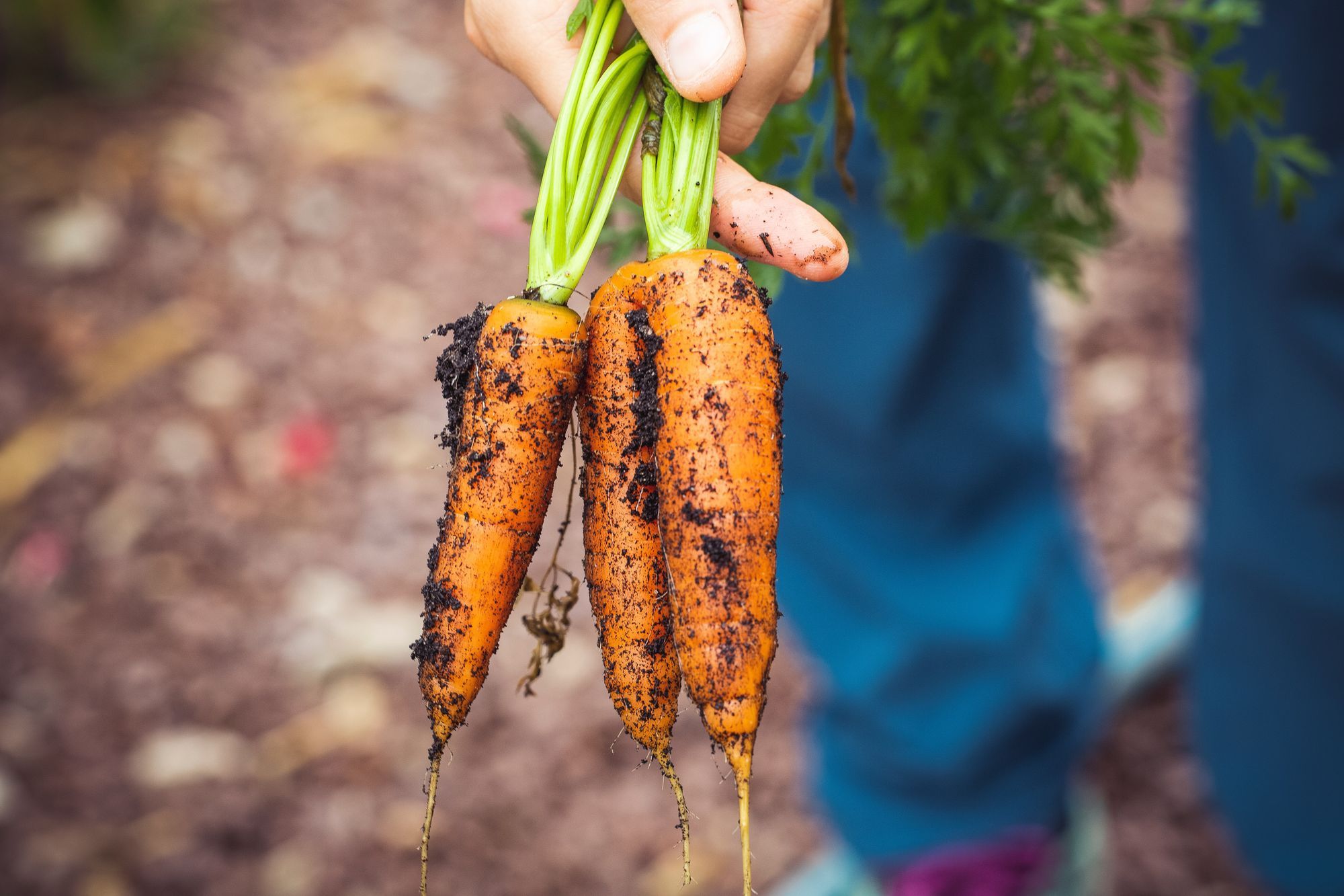 Organic Crop Protection